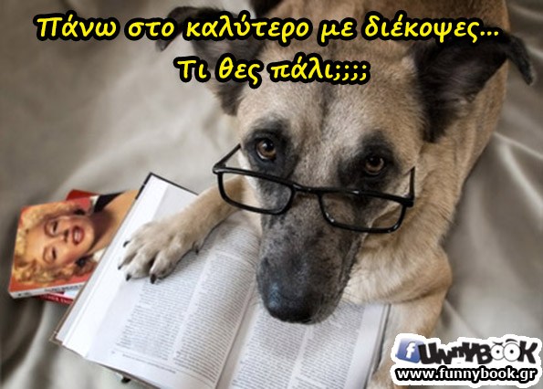 1361295721-skylos-vivlio-gyalia-asteia-eikona[1].jpg